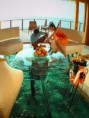 /album/galerie-de-photos-lieux-paradisiaque/paradis-jpg/